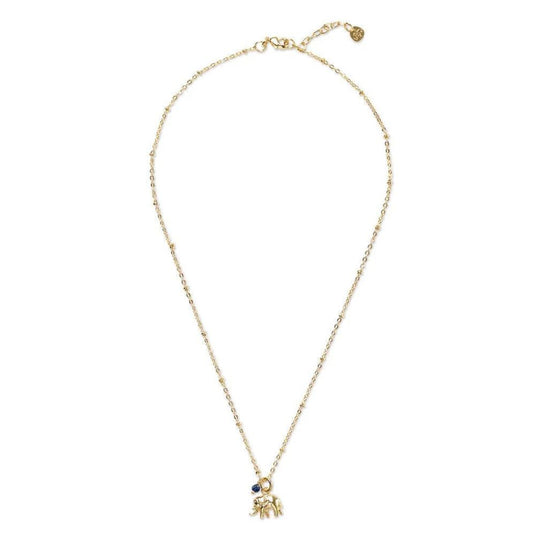 Ketting elephant lapis lazulli - conceptstore Liefs uit Zierikzee 