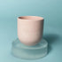 Mug miss perfect - conceptstore Liefs uit Zierikzee 