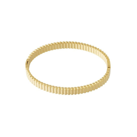 armband goud stainless steel - liefs uit zierikzee 