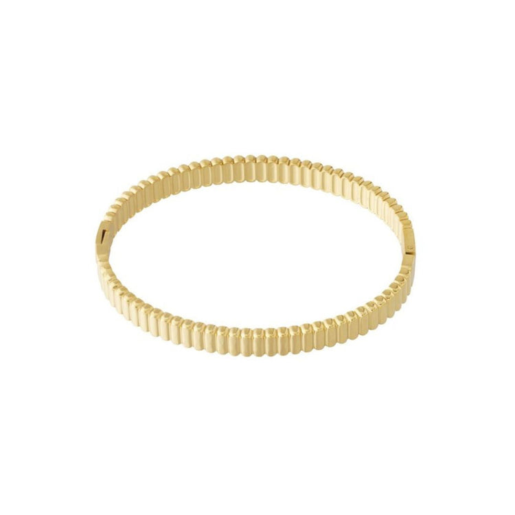 armband goud stainless steel - liefs uit zierikzee 