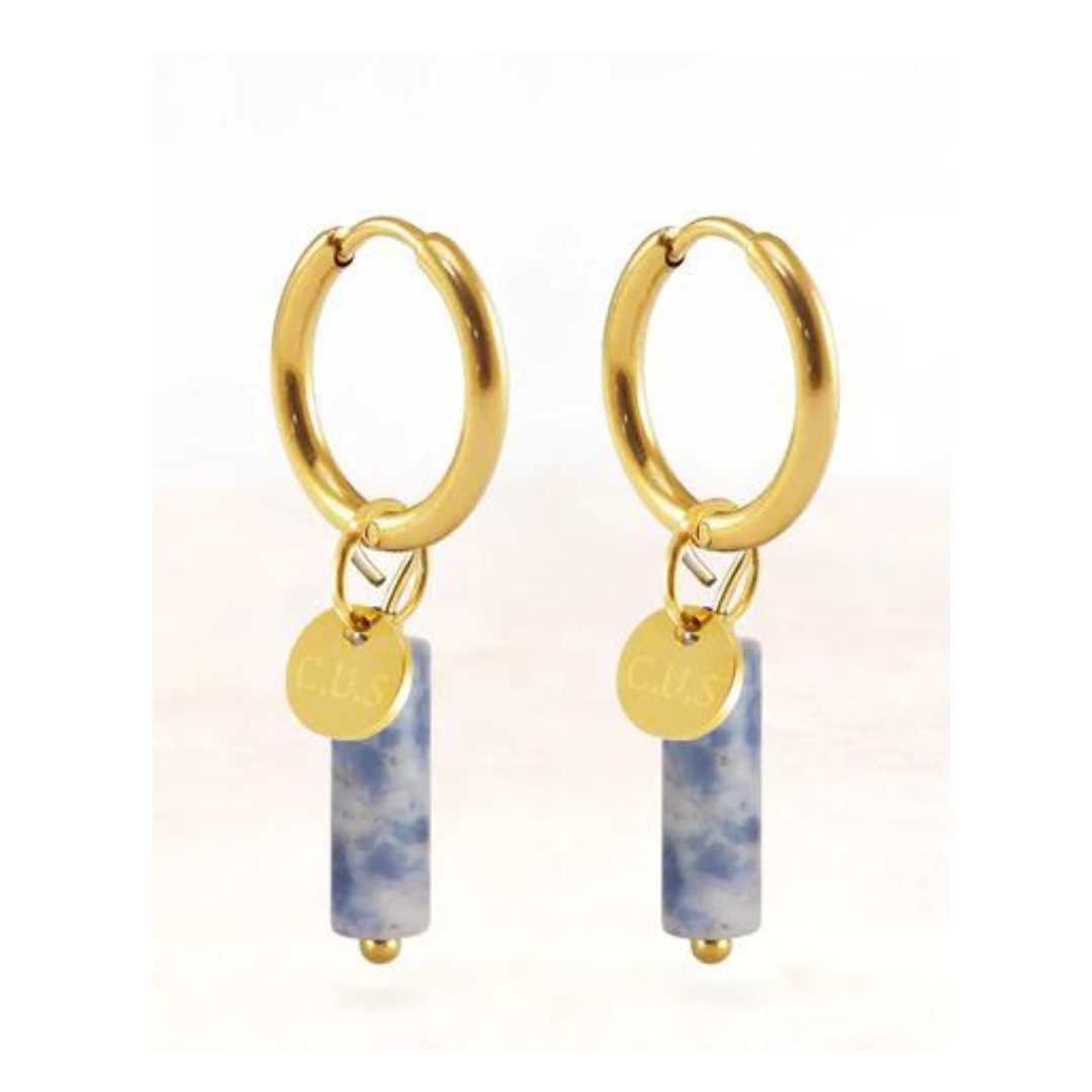 stainless steel oorbellen goud spot soladite - conceptstore Liefs uit Zierikzee 